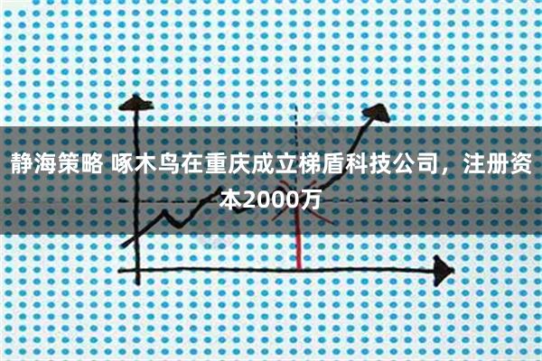 静海策略 啄木鸟在重庆成立梯盾科技公司，注册资本2000万