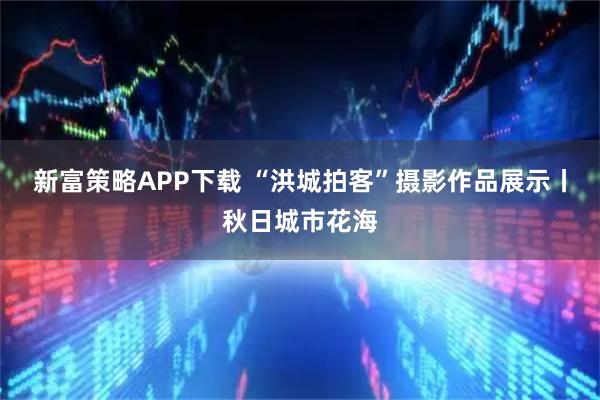 新富策略APP下载 “洪城拍客”摄影作品展示丨秋日城市花海