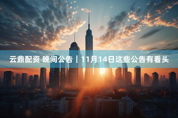 云鼎配资 晚间公告｜11月14日这些公告有看头