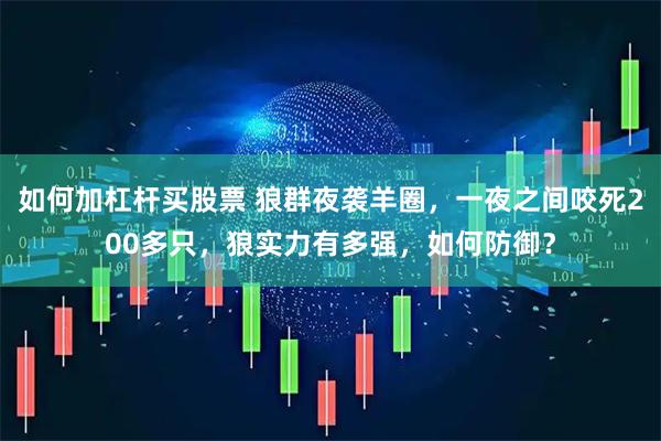 如何加杠杆买股票 狼群夜袭羊圈，一夜之间咬死200多只，狼实力有多强，如何防御？