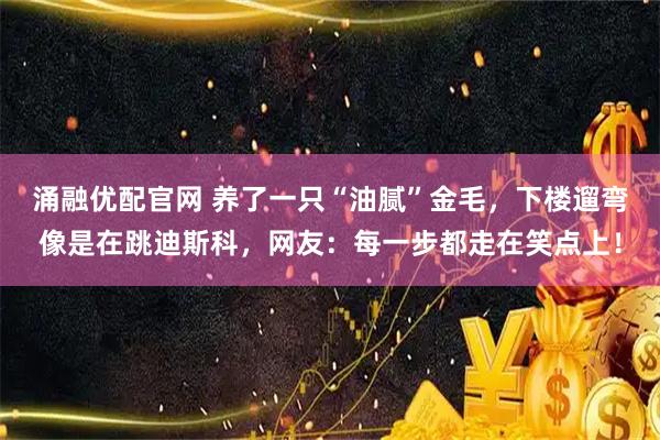 涌融优配官网 养了一只“油腻”金毛，下楼遛弯像是在跳迪斯科，网友：每一步都走在笑点上！