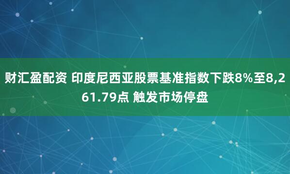 财汇盈配资 印度尼西亚股票基准指数下跌8%至8,261.79点 触发市场停盘