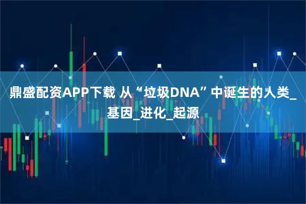 鼎盛配资APP下载 从“垃圾DNA”中诞生的人类_基因_进化_起源