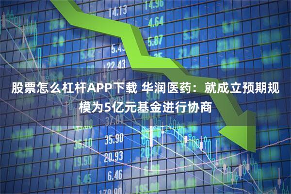 股票怎么杠杆APP下载 华润医药：就成立预期规模为5亿元基金进行协商