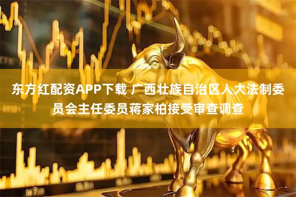 东方红配资APP下载 广西壮族自治区人大法制委员会主任委员蒋家柏接受审查调查
