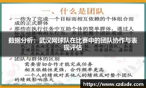 数据分析：武汉网球队在比赛中的团队协作与表现评估